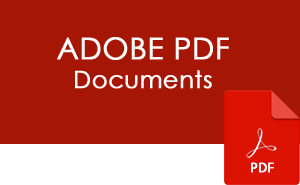 Translate PDF Files
